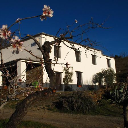 Casa Rural El Paraje De Berchules Exterior photo